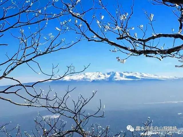 寂静岭：暴雨